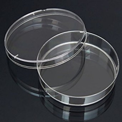 Petri Dishes With Lid, Clear Polystyrene (100X15 Mm)