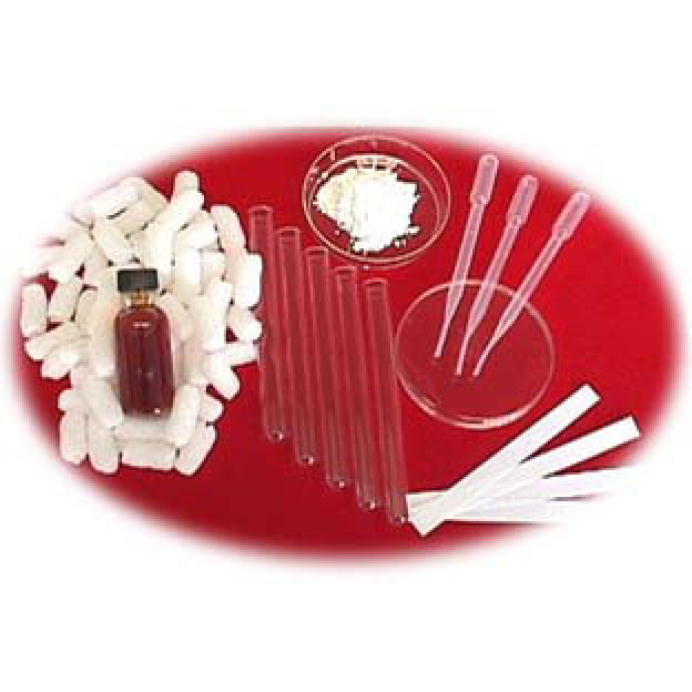 Starch Test Science Kit