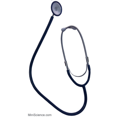 stethoscope