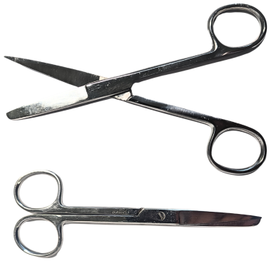 dissecting-scissors-straight