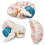 Human-Brain-Anatomy-Model-with-Colored-Arteries-3-Parts