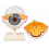 human-eye-anatomical-model-6x-enlarged-6-parts-hand-painted-with-numbered-structures